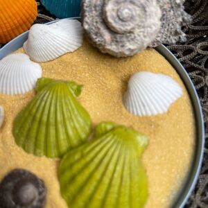 Sweet Pea Green ribbed Raw seashell earrings